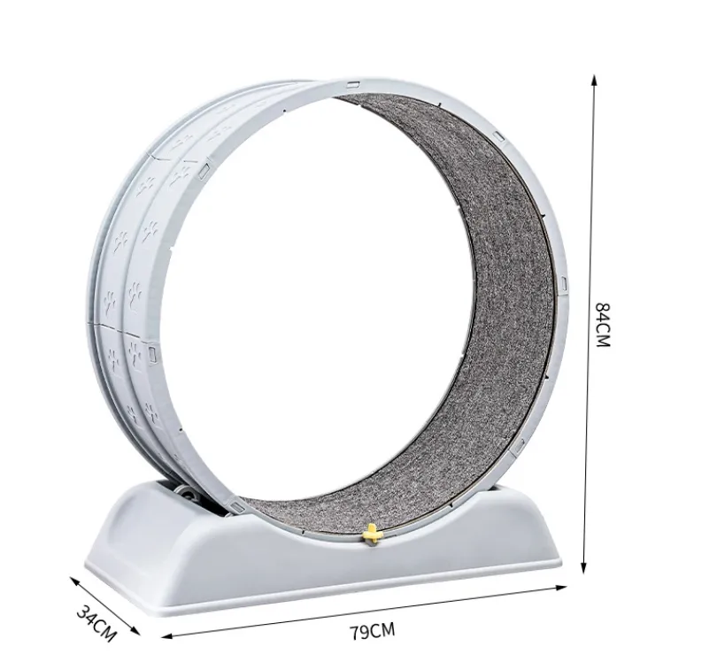 Cat Running Wheel View 2