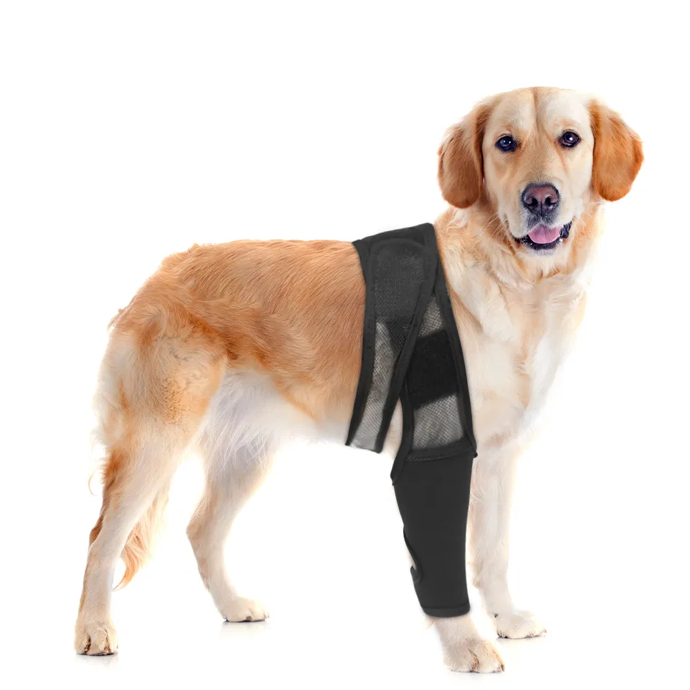 Pet Thigh Injury Brace