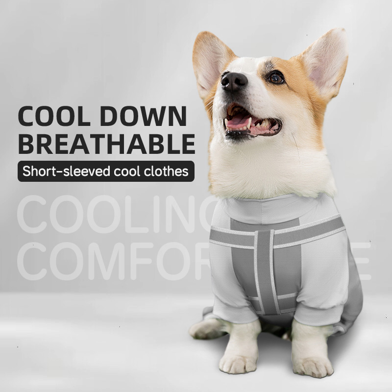 Stylish Sun-Protective Dog Apparel for Summer Adventures and Play
