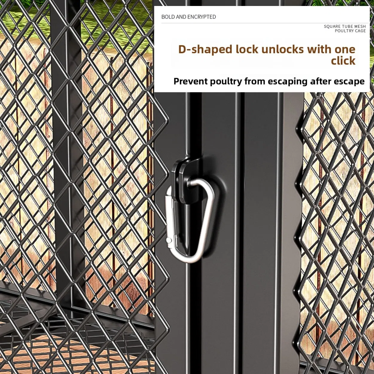 Eco-Friendly Special Chicken Housing Solutions for Poultry Farms