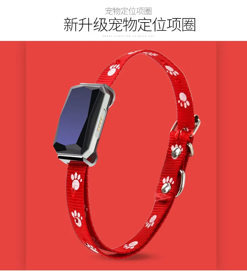 Pet GPS Locator Usage