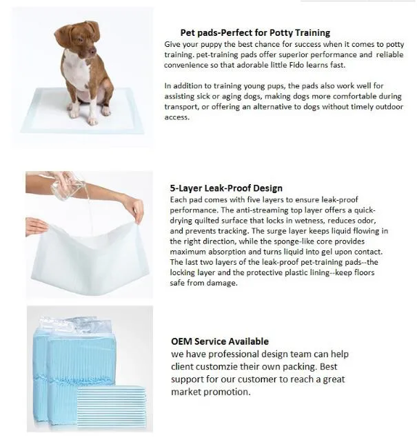 Pet Diaper Detail 1