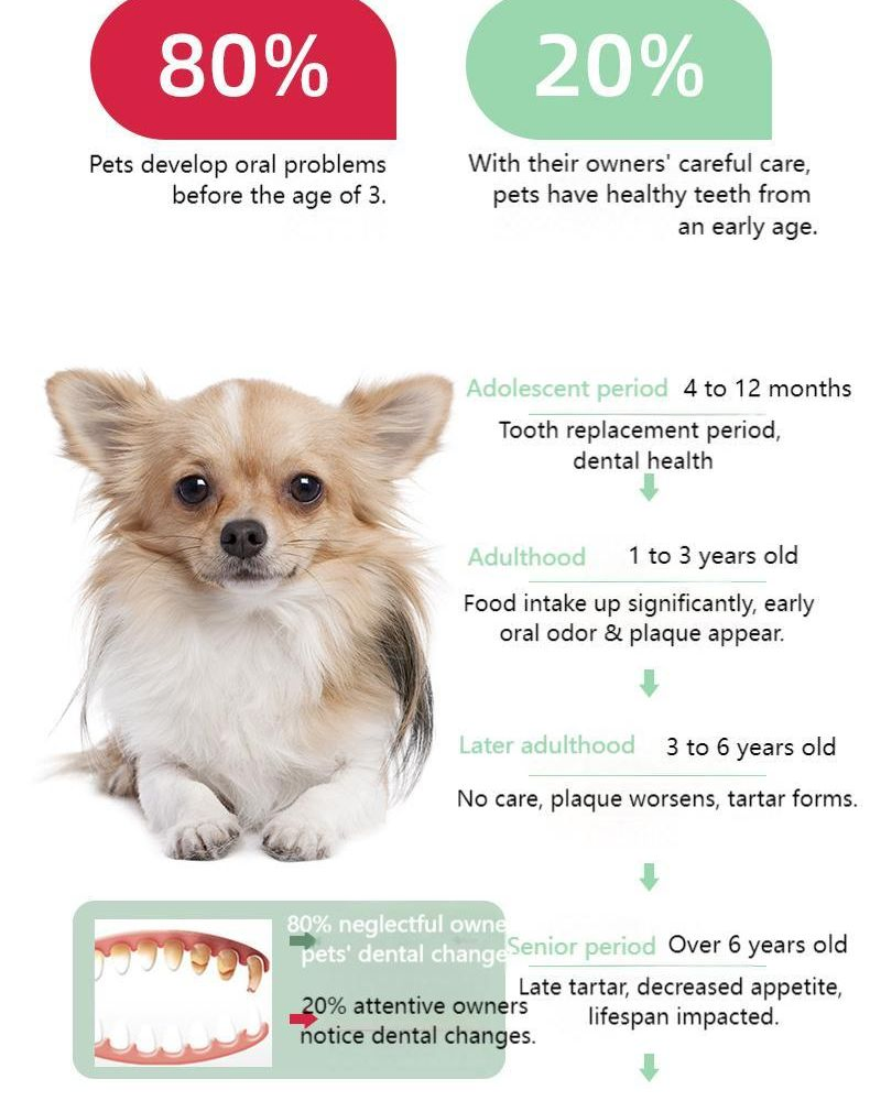 Karinsa Edible Pet Toothpaste - Oral Health for Australia