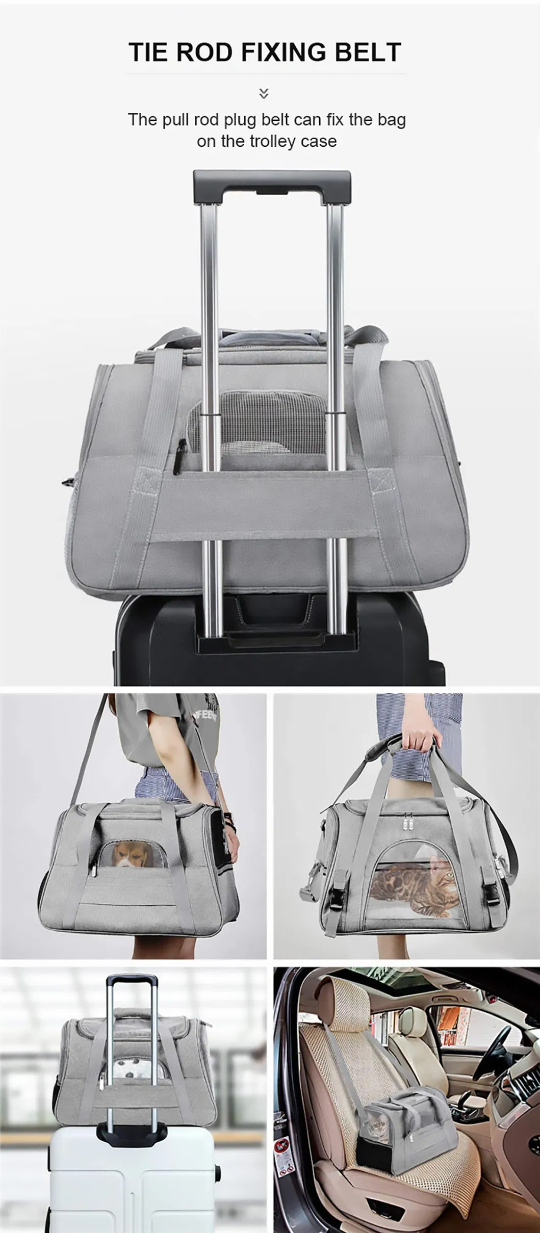 Pet Carrier Detail 6