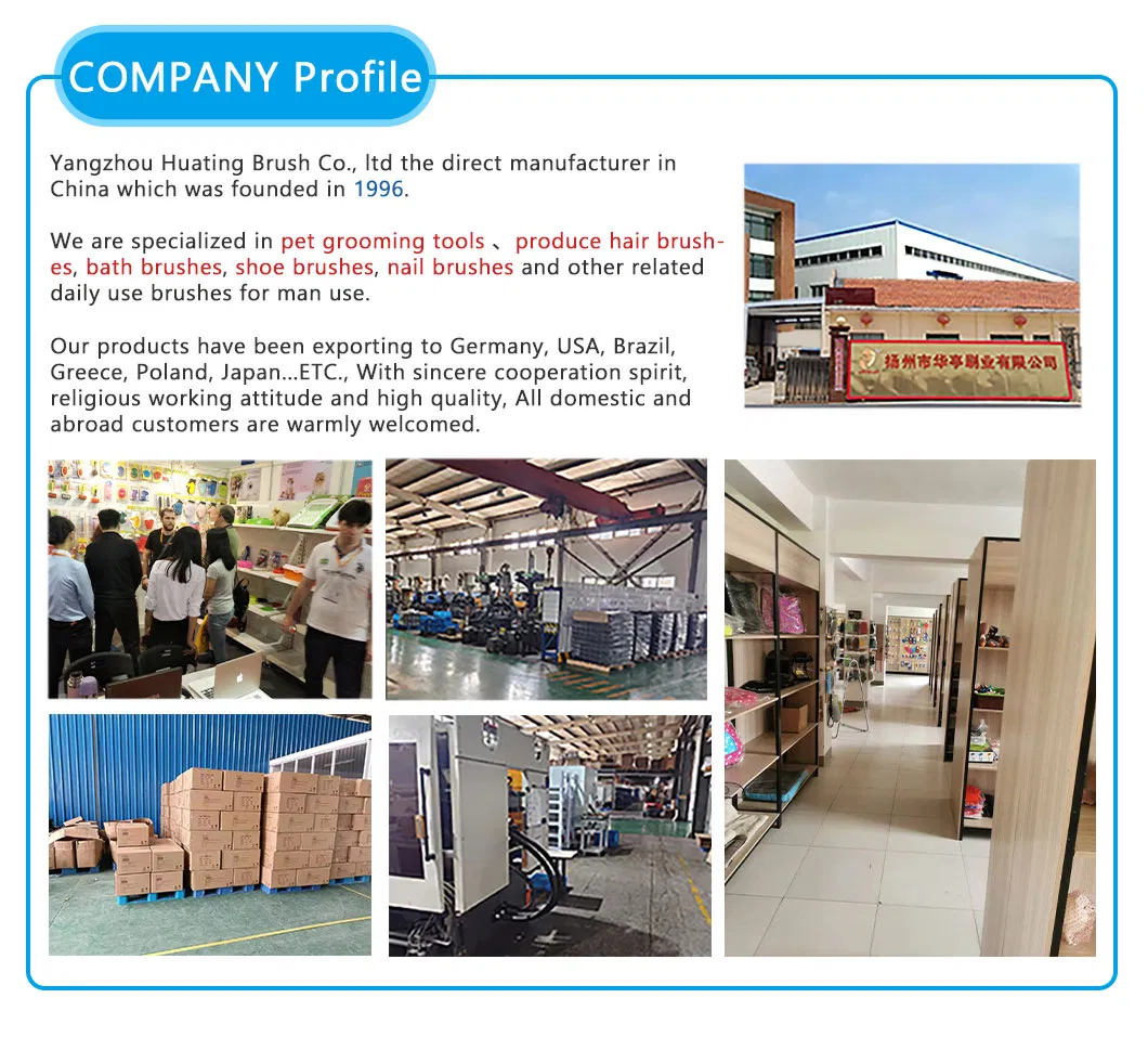 Company Overview