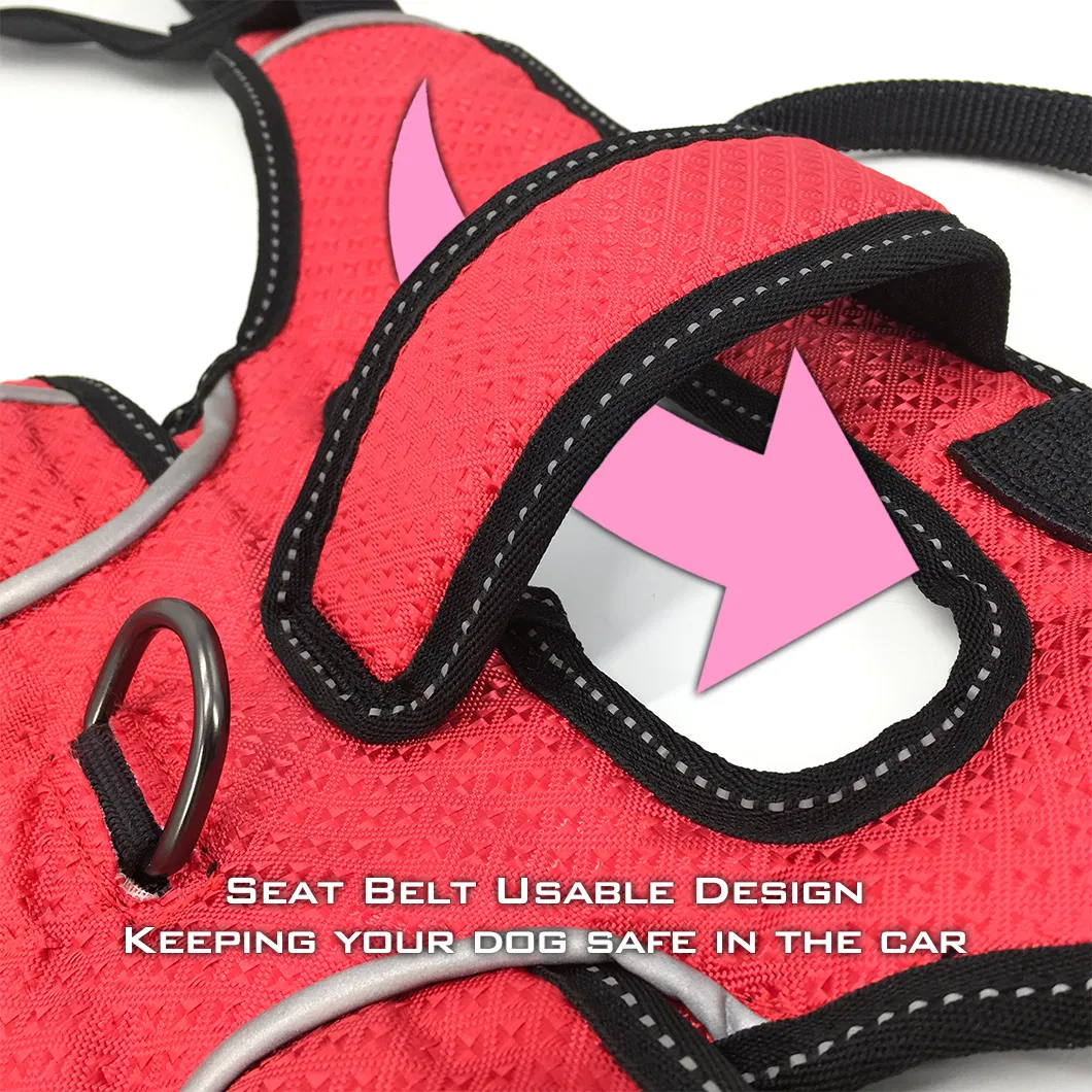 Dog Harness Detail 5