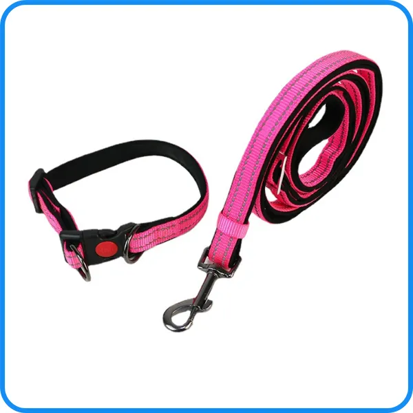 Pet Dog Leash