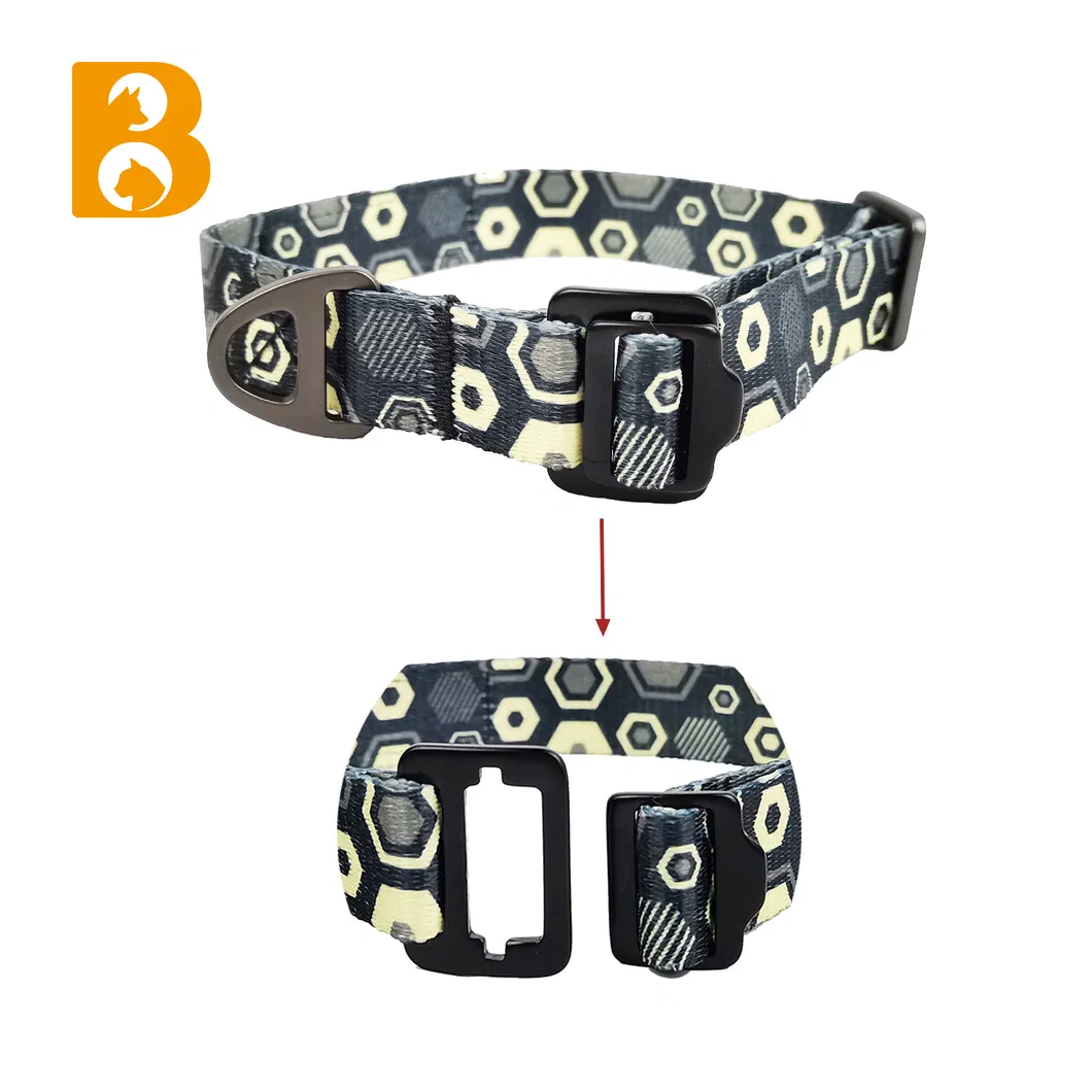 Pet Accessory Design