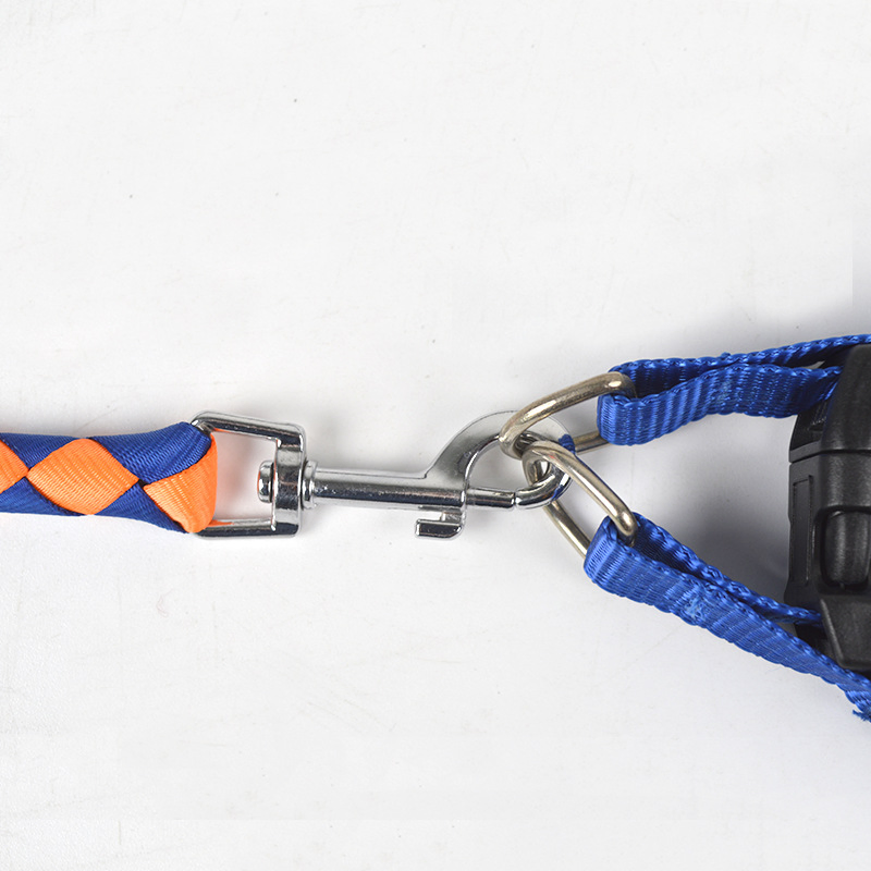 Chain Adjustable Loop Slip Rope Pet Dog Collar &amp; Leash