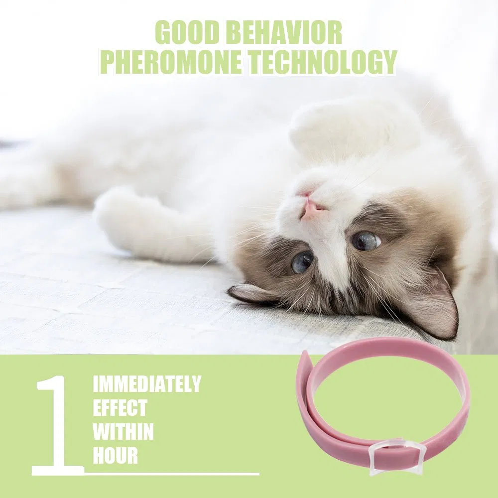 Pheromone Collar for Cats, Pet Anxiety Meds with Feline Pheromone, Best Calming Collar, 30 Days