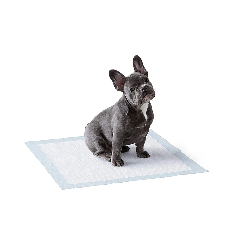 Non-Woven Fabric Pet Products for Easy Cleanup and Training
