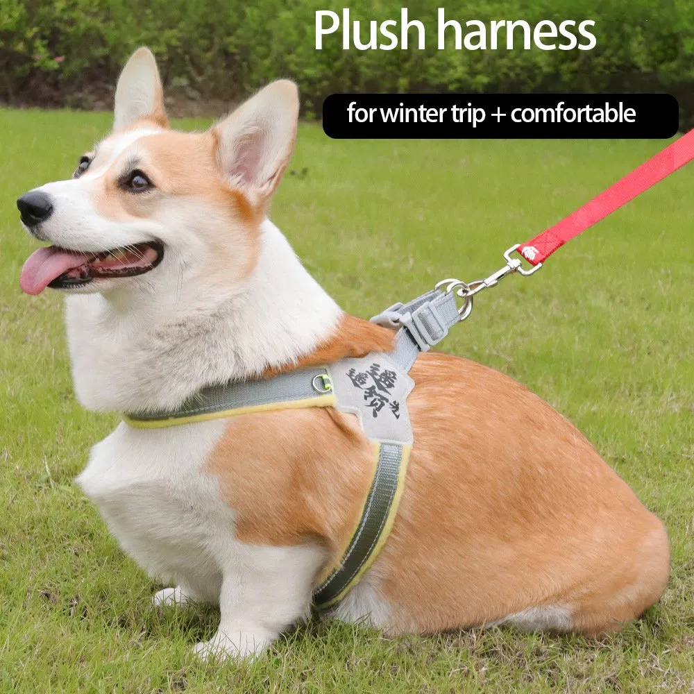 Trendy PU Leather Dog Collar and Leash Set for Fashionable Pets