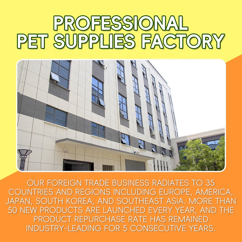 Eco-Friendly Special Chicken Housing Solutions for Poultry Farms