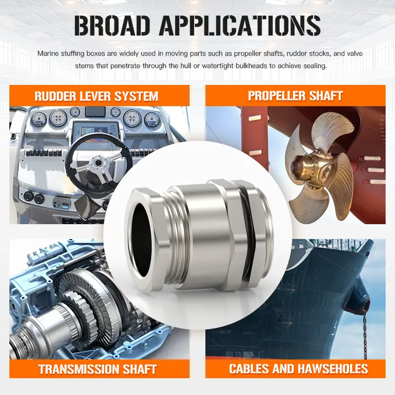 China Single Compression Type Cable Gland IP68 Rated - China Suppliers & Factory for Waterproof Marine Applications Suppliers, Factory
