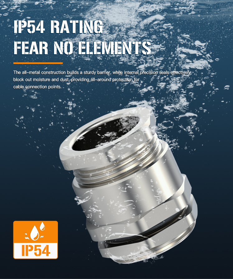 Single Compression Type Cable Gland 7