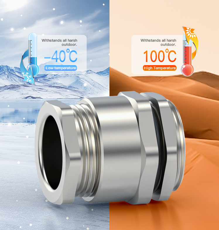 Single Compression Type Cable Gland 6