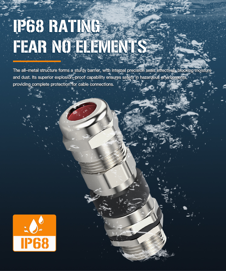 Explosion-proof Gland Detail 7