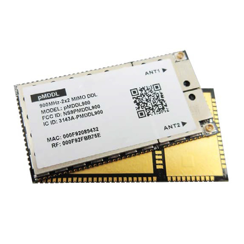 pMDDL1624