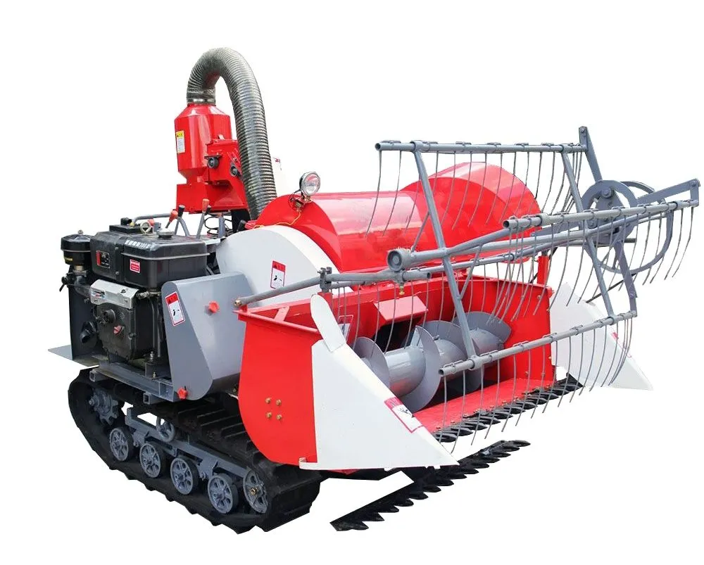 Green Agriculture Systems