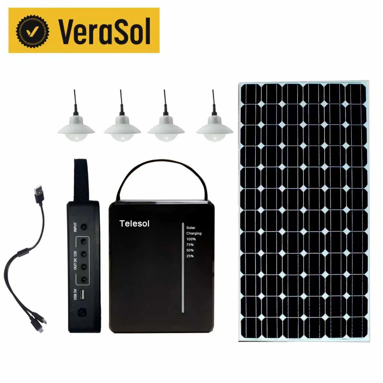 Solar Home Lighting Power System