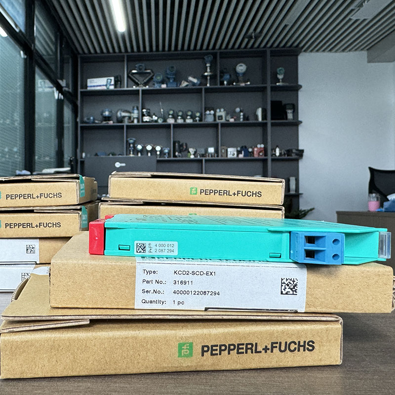 Original Pepperl+Fuches 316L Kcd2-Scd-Ex1 Switching Input Safety Grid