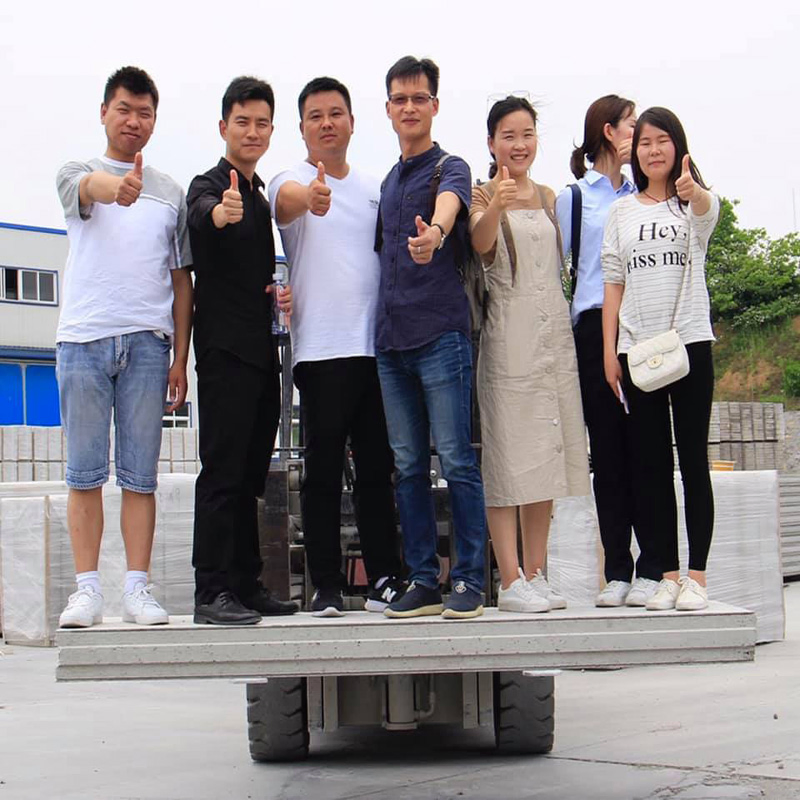 Sandwich Cement Wall Panel Green Building Material for School/Hospital/Bedroom