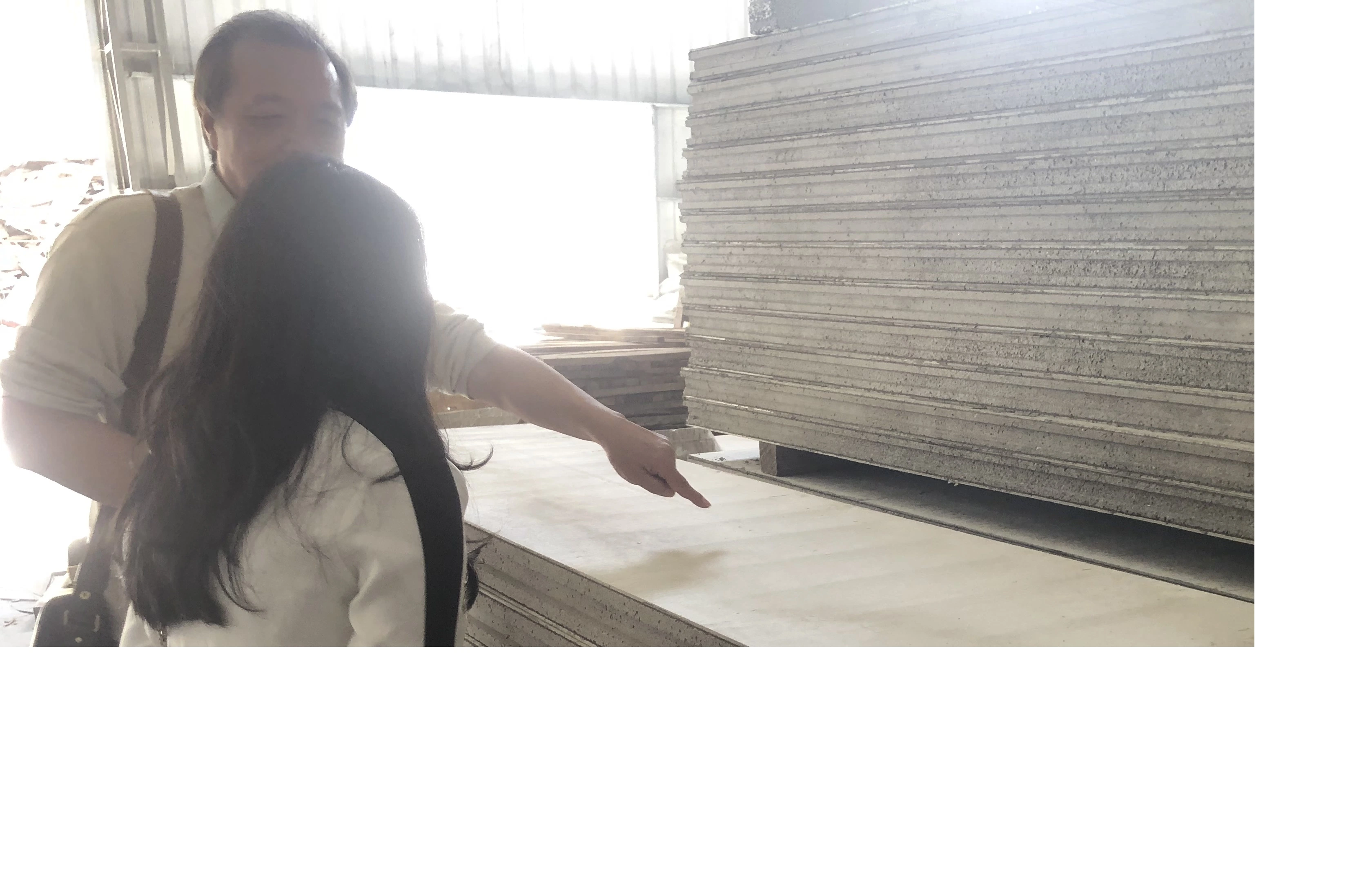 Sandwich Cement Wall Panel Green Building Material for School/Hospital/Bedroom