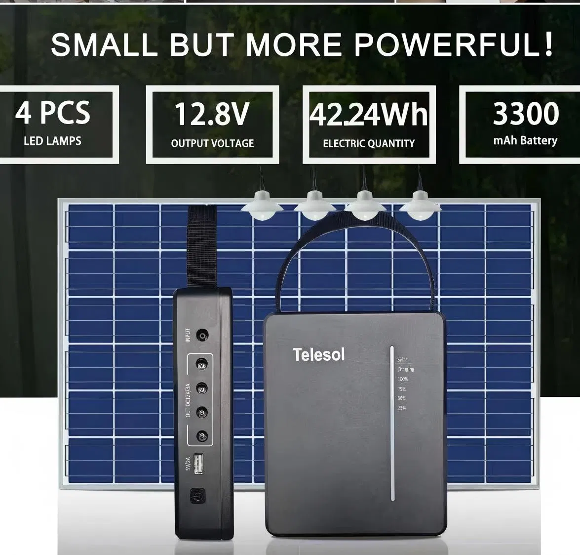 Government/Un/Ngo/Donation Project Solar Home Lighting Power System 4lights