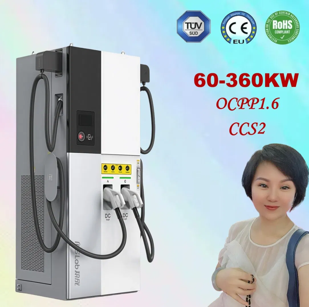 for EV Charge Commercial CCS2 Gbt 240kw 300kw 320kw 360kw 400kw Electric Vehicle Car Battery Fast DC EV Charger Charging Solution with Ocpp