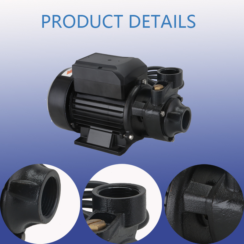 Sqb High Configuration Solar Water Pump with Copper Impeller