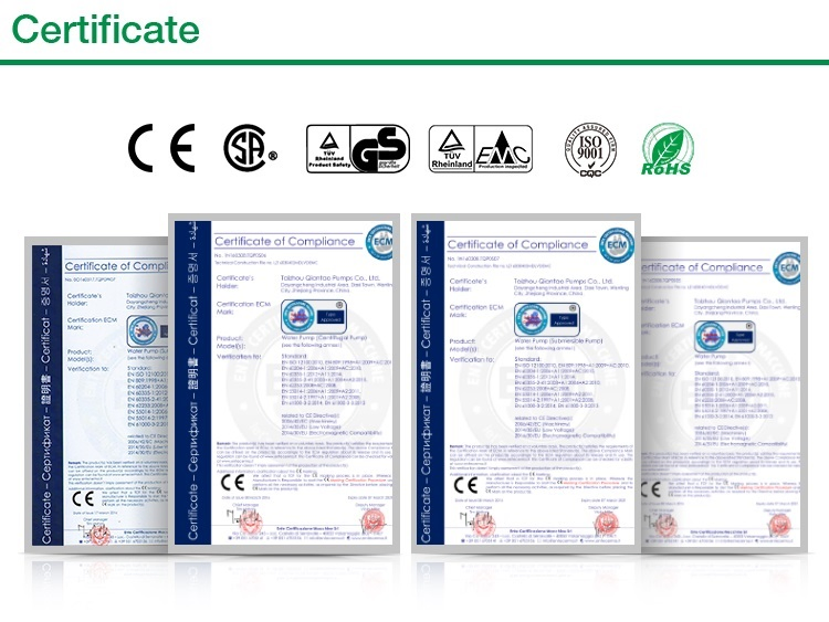 12V 24V 48V Solar Pump High Pressure Stainless Steel Borehole Pump Water Pump for Irrigation