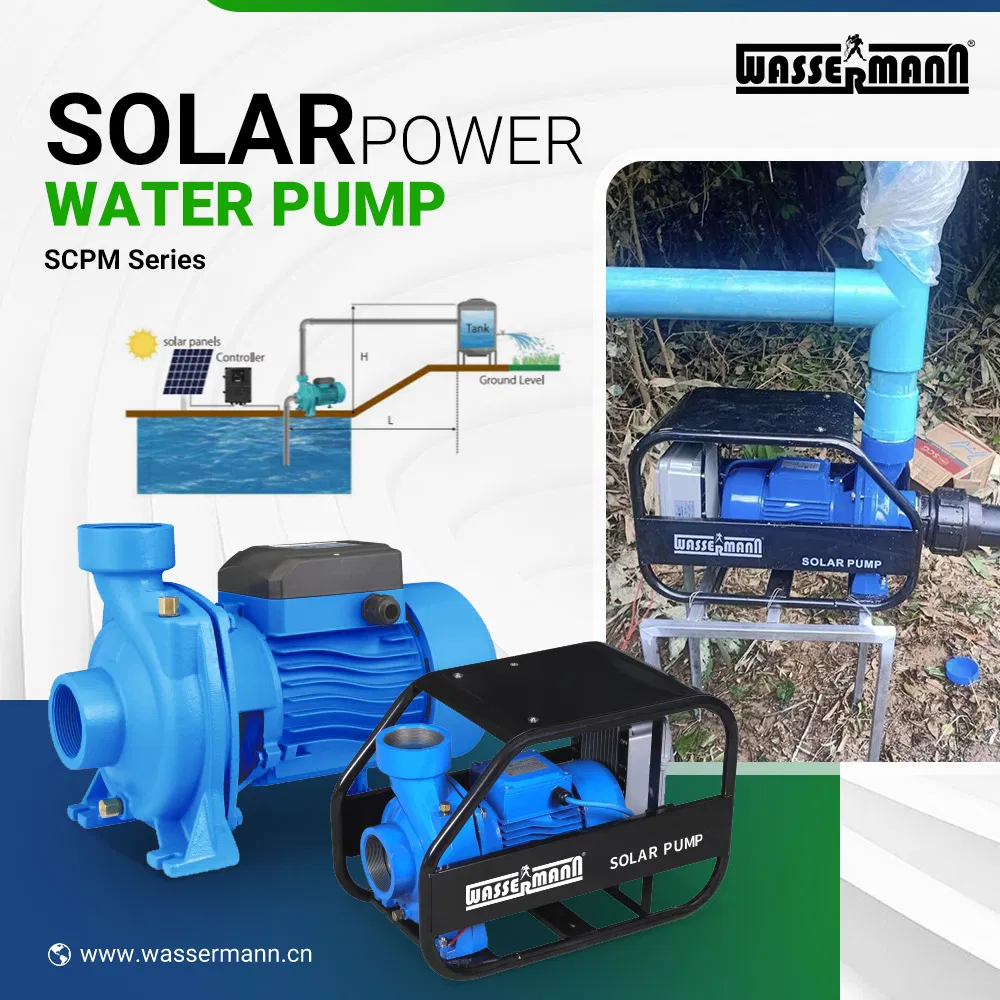 High Efficiency Brushless DC High Flow Solar Irrigation Surface Centrifugal Water Pump