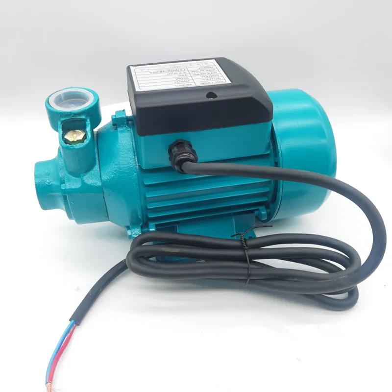 QB60 Water Pump View 4