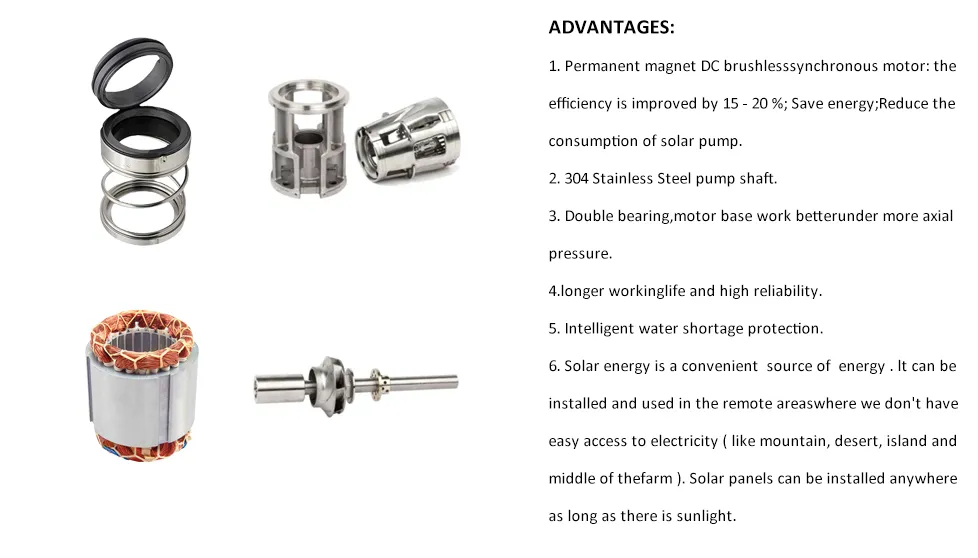 Solar Stainless Steel Pump Performance