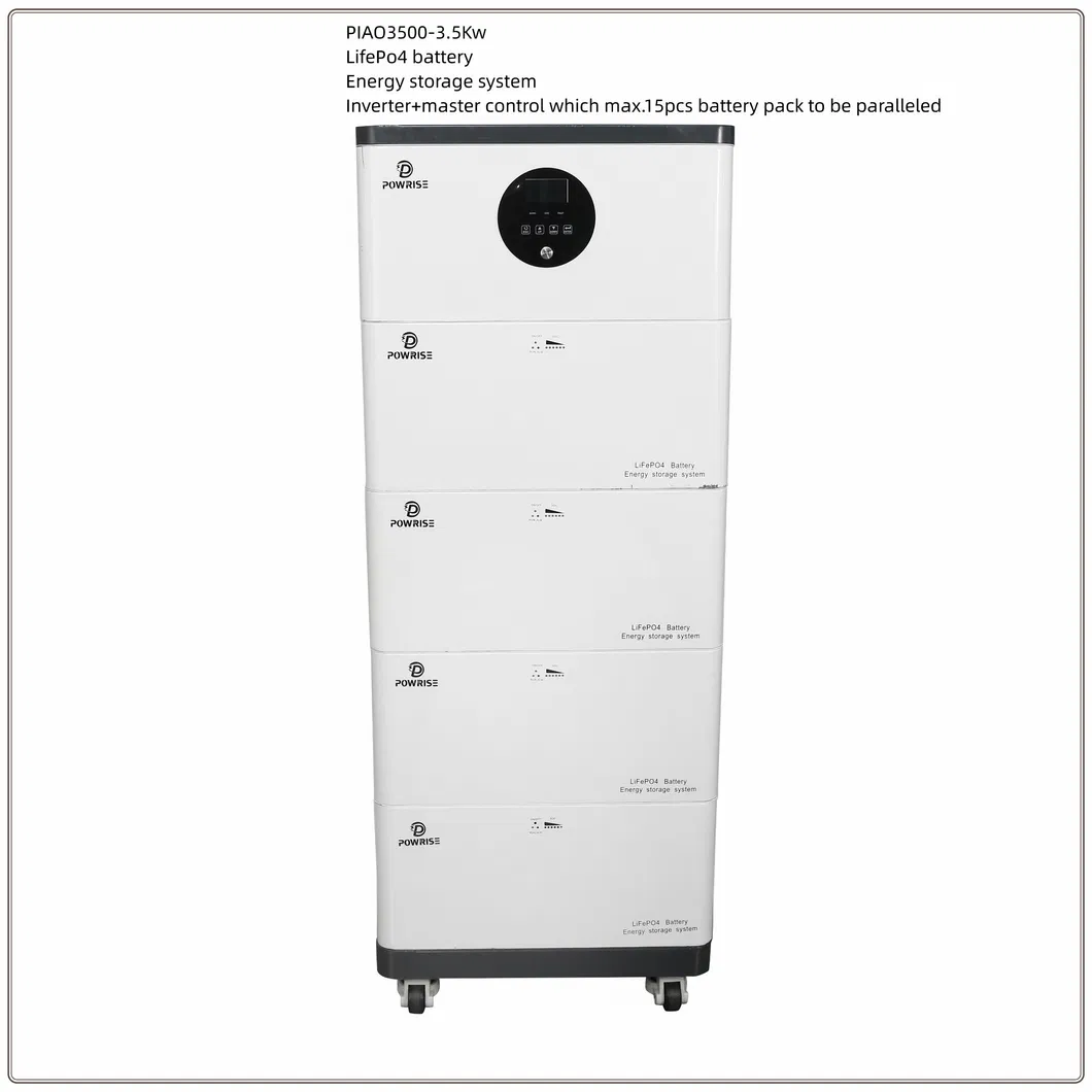 Power Storage System 1