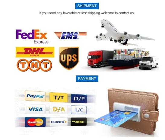 Shipment and Payment Information
