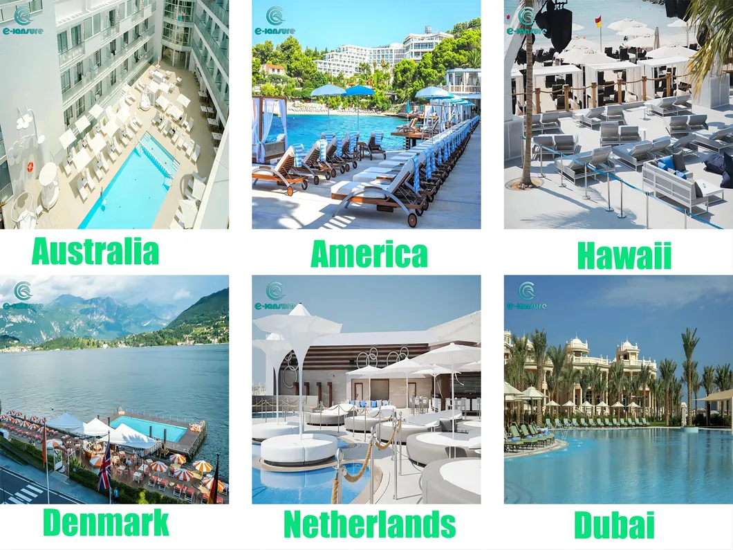 Project Case Exhibition