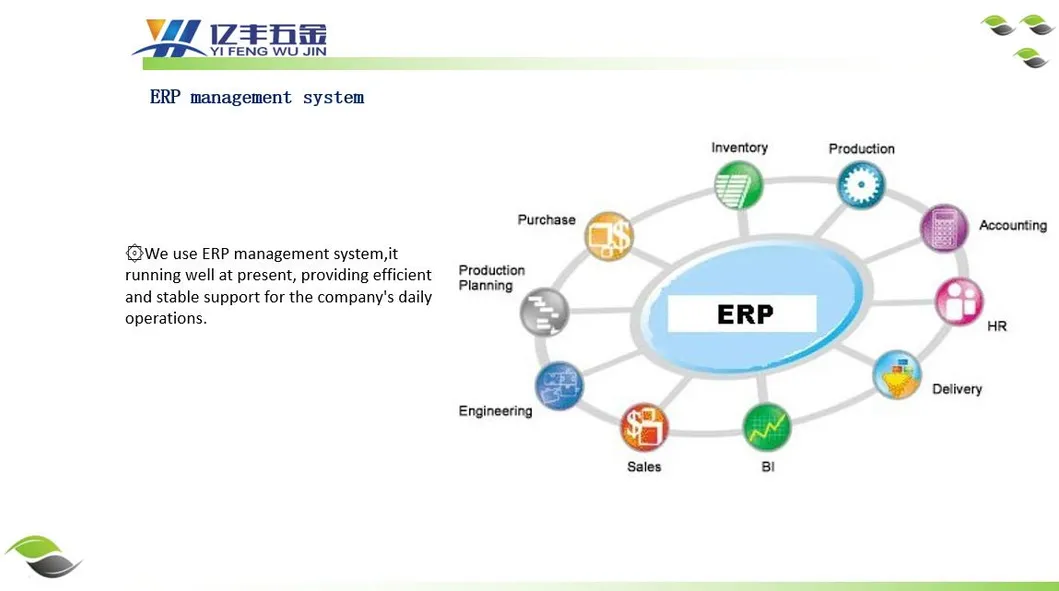 ERP System 1