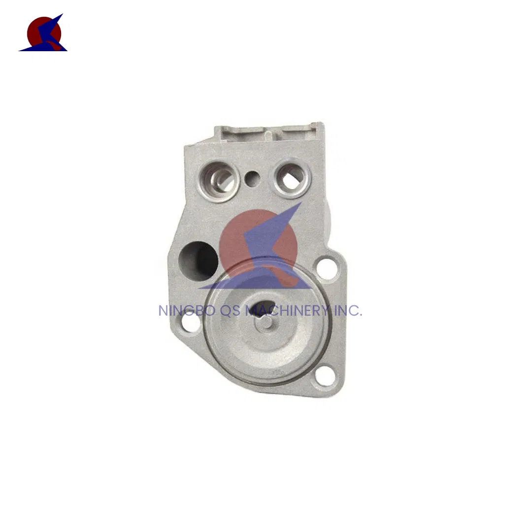 QS Machinery Automotive Die Casting Suppliers ODM Metal Casting Services China Automotive Die Casting