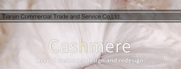 Product Display Banner