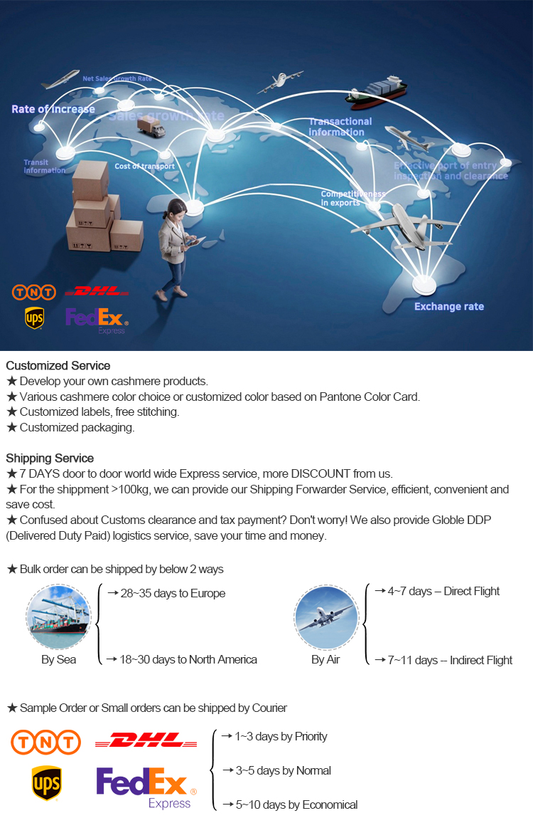 Our Service