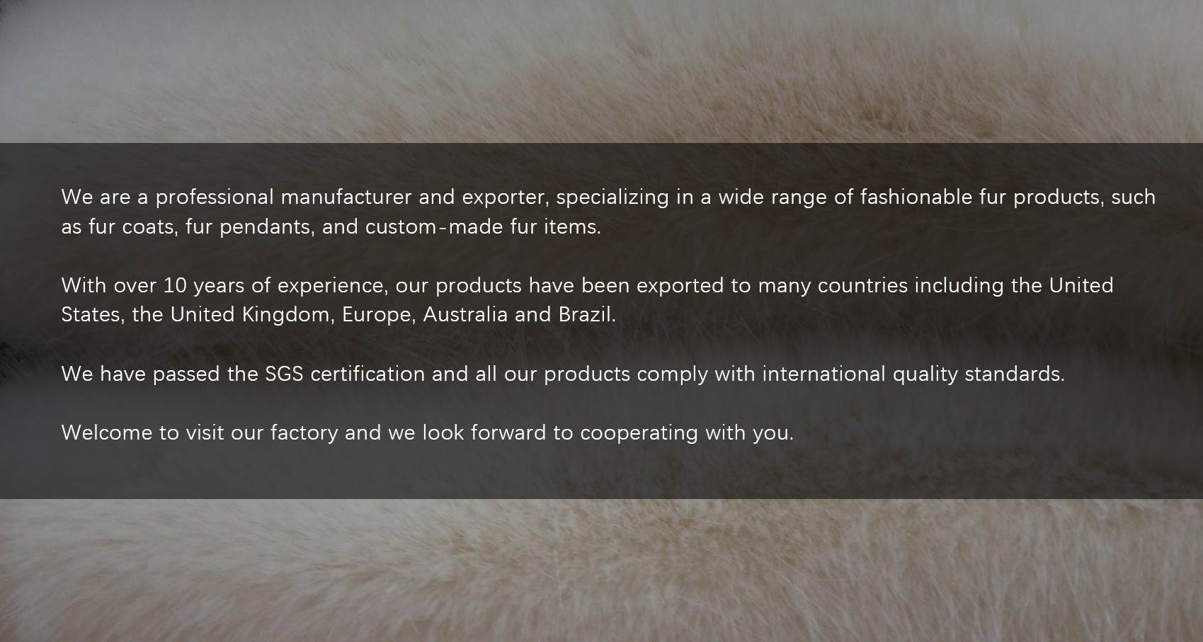 Product Description 2