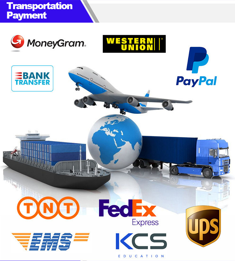 Logistics Shipping