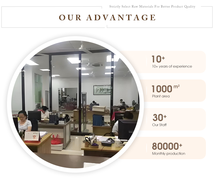 Company Advantages