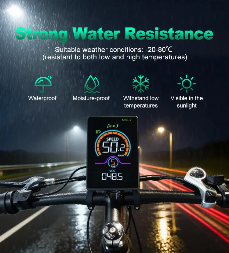 Ebike LCD Display 2