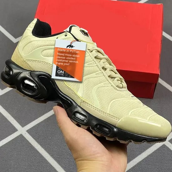 Brand Sports Shoes Running Sneaker Fashion Footwear Luxury Air Tn Men Shoe - Putian Shoes and Basketball Shoes Price