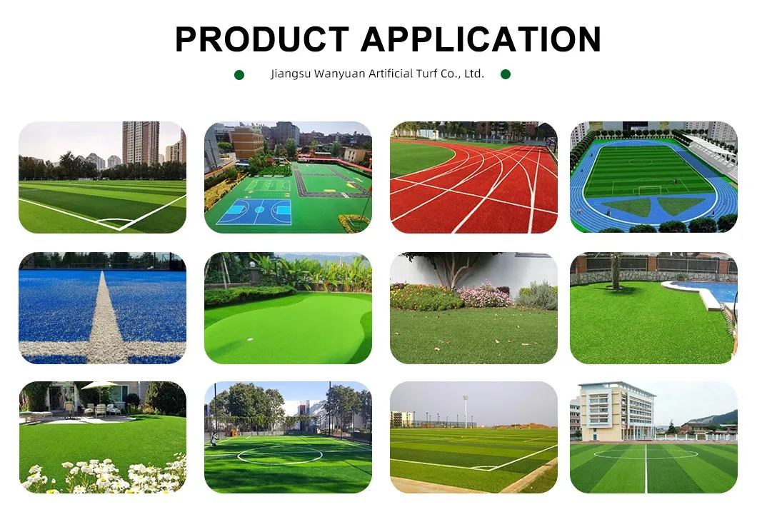 Professional Sport Field Tennis Court