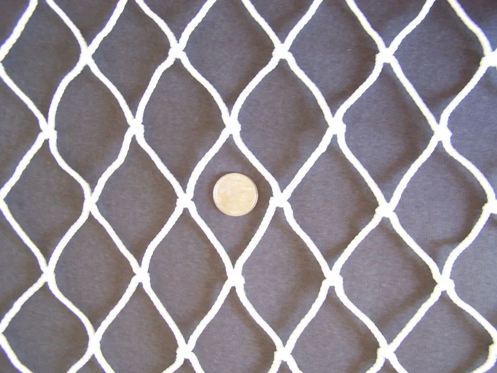 Detailed Net Photo 4