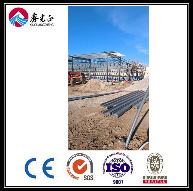 Best Design Low Cost Steel Structure Farm Storage (BYSS-220521015)