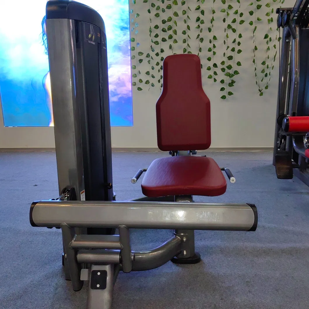 Gym Equipment 2